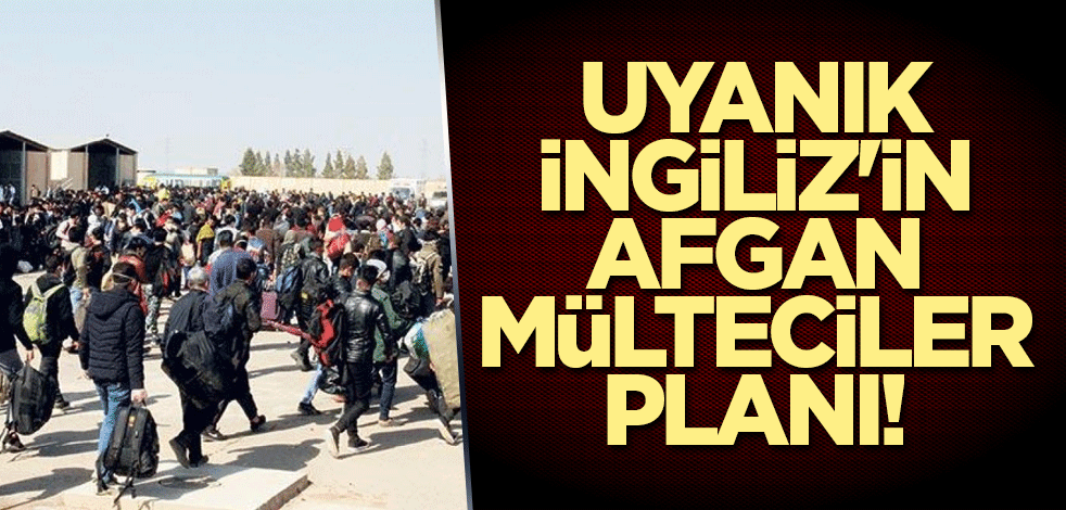 Uyanık İngiliz'in Afgan mülteciler planı!