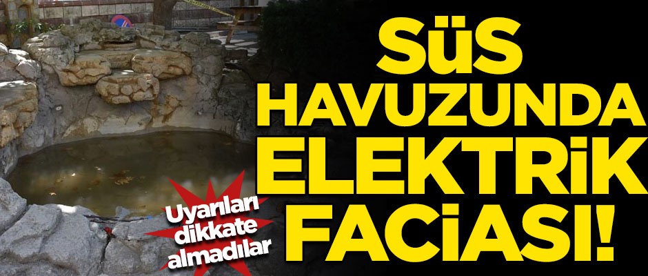 Uyarıları dikkate almadılar! Süs havuzunda elektrik faciası