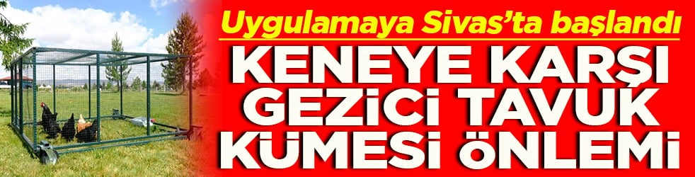 Uygulamaya Sivas’ta başlandı Keneye karşı gezici tavuk kümesi önlemi
