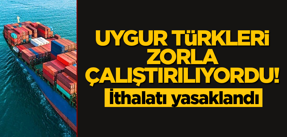 Uygur Türkleri zorla çalıştırılıyordu! İthalatı yasaklandı