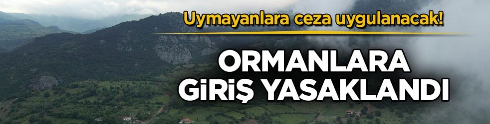 Uymayanlara ceza uygulanacak! Ormanlara giriş yasaklandı