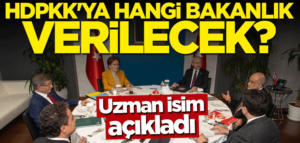 Uzman isim açıkladı: HDP'ye hangi bakanlık verilecek?