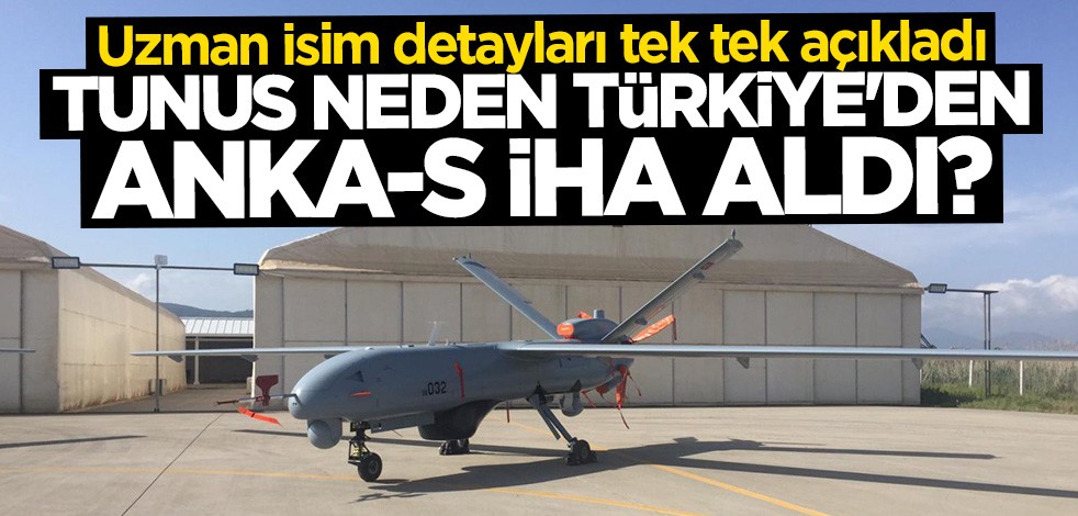 Uzman isim açıkladı: Tunus neden Türkiye'den ANKA-S aldı?