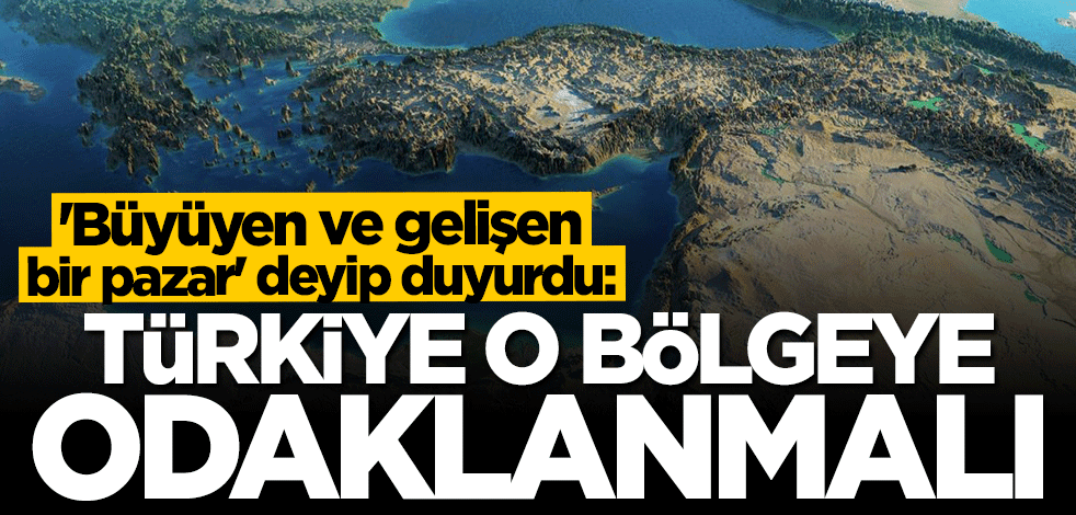Uzman isim açıkladı: Türkiye o bölgeye odaklanmalı