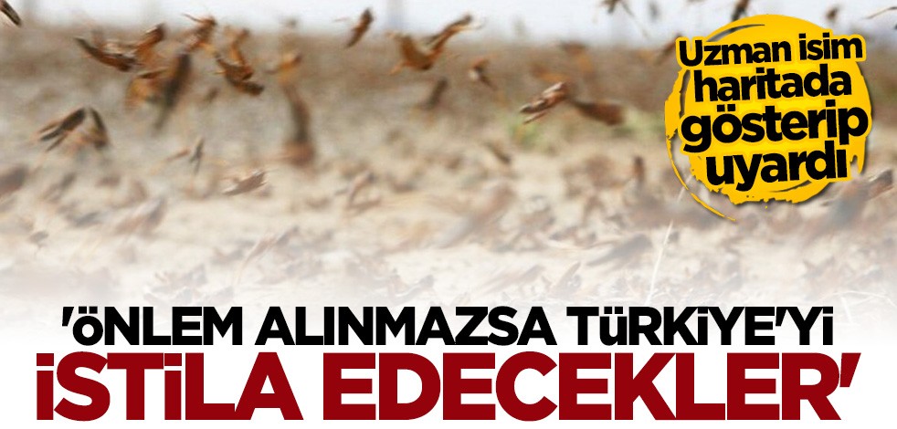 Uzman isim uyardı: Önlem alınmazsa Türkiye'yi istila edecekler