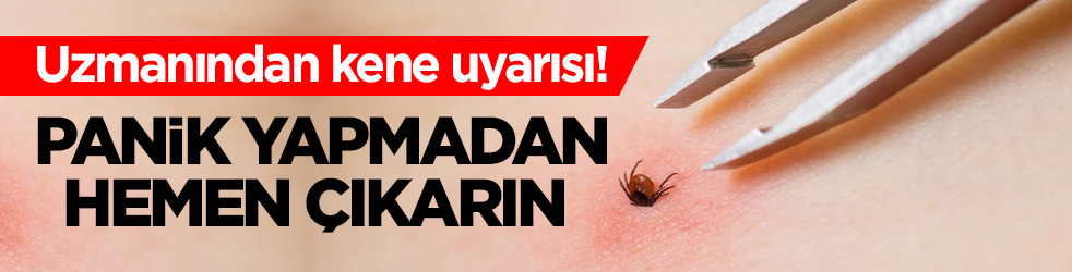 Uzmanından kene uyarısı! Panik yapmayın, hemen çıkarın 