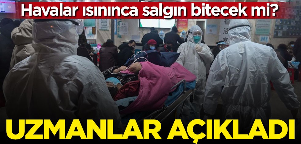 Uzmanlar açıkladı: Havalar ısınınca salgın bitecek mi?