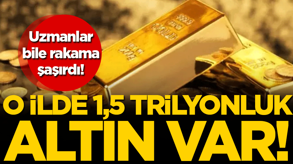 Uzmanlar bile şaşırdı! O ilde 1,5 trilyonluk altın var!