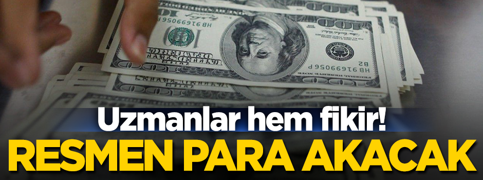 Uzmanlar fikir birliğine vardı! Türkiye'ye para yağacak