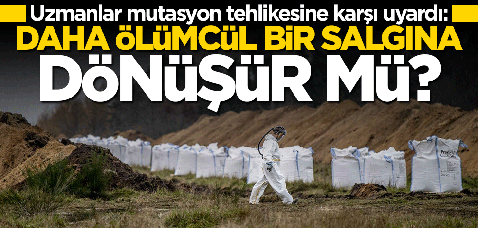 Uzmanlar mutasyon tehlikesine karşı uyardı: Cluster-5 virüsü hızla yayılıyor