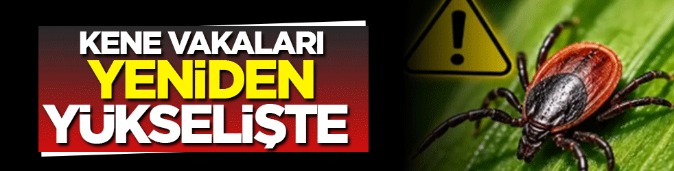 Uzmanlar Temmuz ayı için uyardı: Kene vakalarında artış bekleniyor