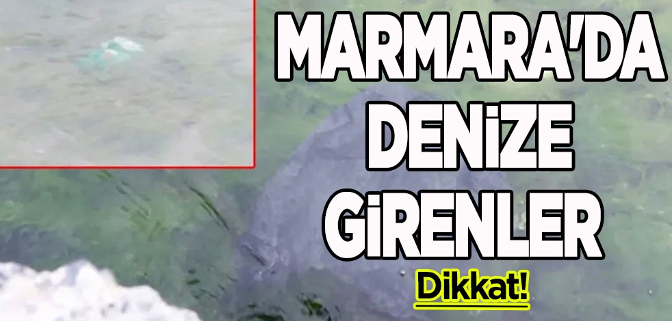 Uzmanlar uyardı: Hemen ama hemen bundan uzaklaşın, dikkate alın! Marmara'da denize girenler