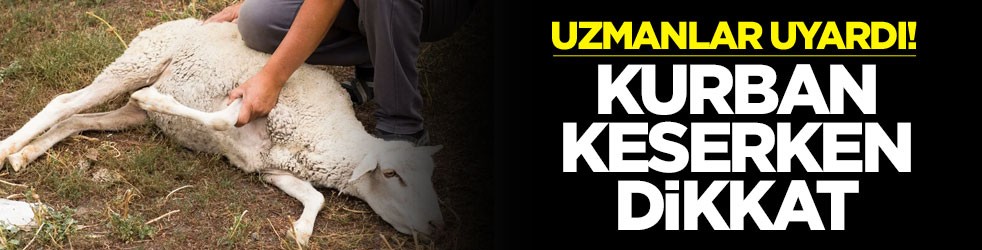 Uzmanlar uyardı! Kurban keserken dikkat