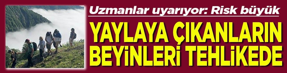 Uzmanlar uyarıyor risk büyük Yaylaya çıkanların beyinleri tehlikede