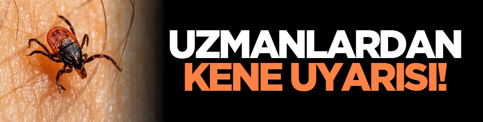 Uzmanlardan kene uyarısı!