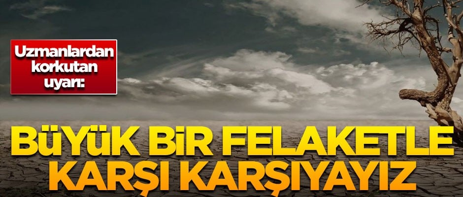 Uzmanlardan korkutan uyarı! 'Büyük bir felaketle karşı karşıyayız'