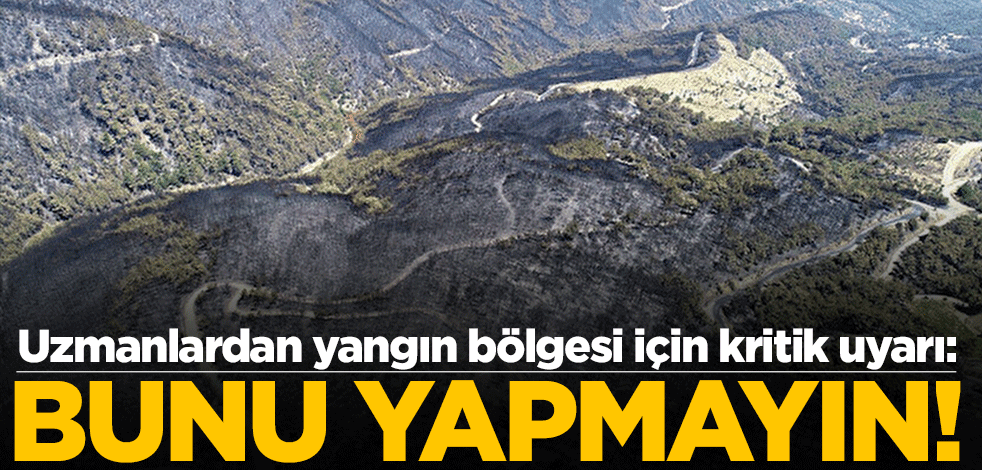 Uzmanlardan kritik uyarı: Yangın sonrası fidan dikmek doğru değil