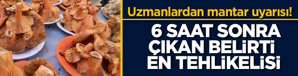 Uzmanlardan mantar uyarısı! 6 saat sonra çıkan belirti en tehlikelisi!