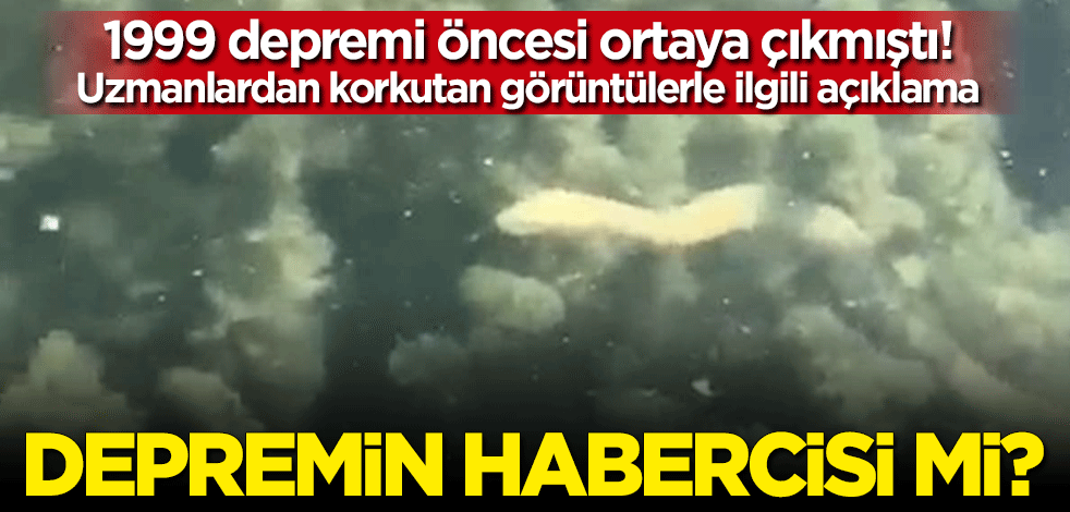 Uzmanlardan o iddialara cevap! Yılanlar depremin habercisi mi?