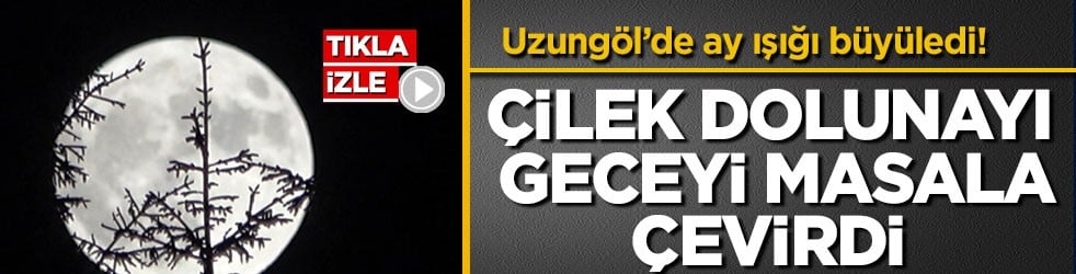 Uzungöl’de ay ışığı büyüledi! Çilek Dolunayı geceyi masala çevirdi