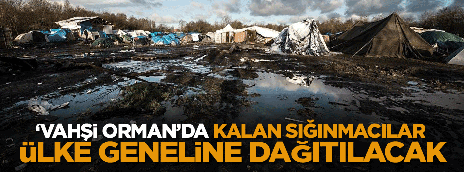 ‘Vahşi Orman’da kalan sığınmacılar ülke geneline dağıtılacak