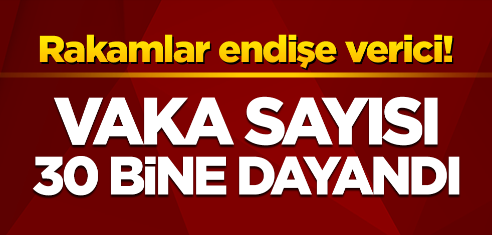 Vaka sayısı 30 bine dayandı! Rakamlar endişe verici