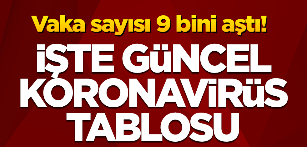 Vaka sayısı 9 bini aştı! İşte koronavirüs tablosu