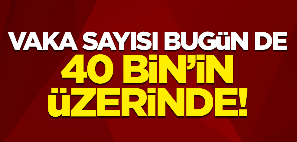 Vaka sayısındaki artış sürüyor!