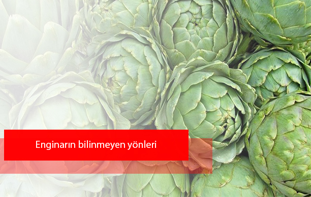 Enginarın faydalarını biliyor muyuz? Enginarın tam vakti!