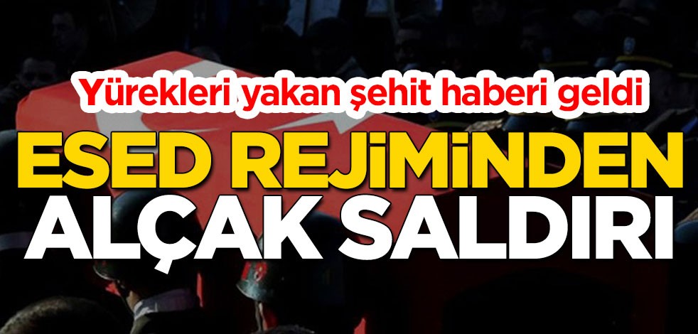 Valilik duyurdu: İdlib'de bir askerimiz şehit olmuştur
