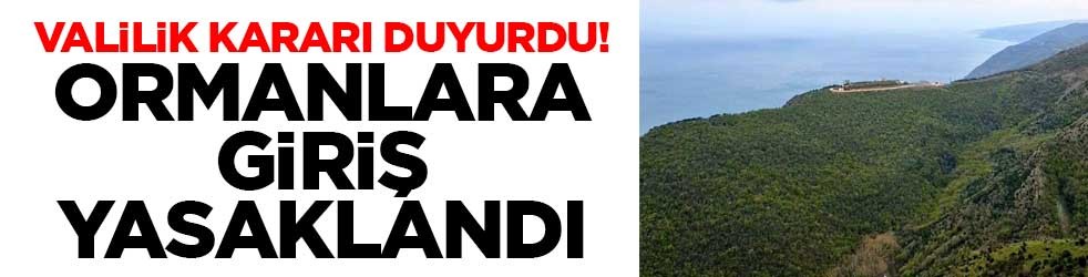 Valilik kararı duyurdu! Ormanlara giriş yasaklandı