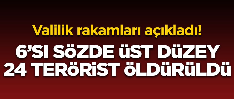 Valilik rakamları açıkladı! 6'sı üst düzey 24 terörist öldürüldü
