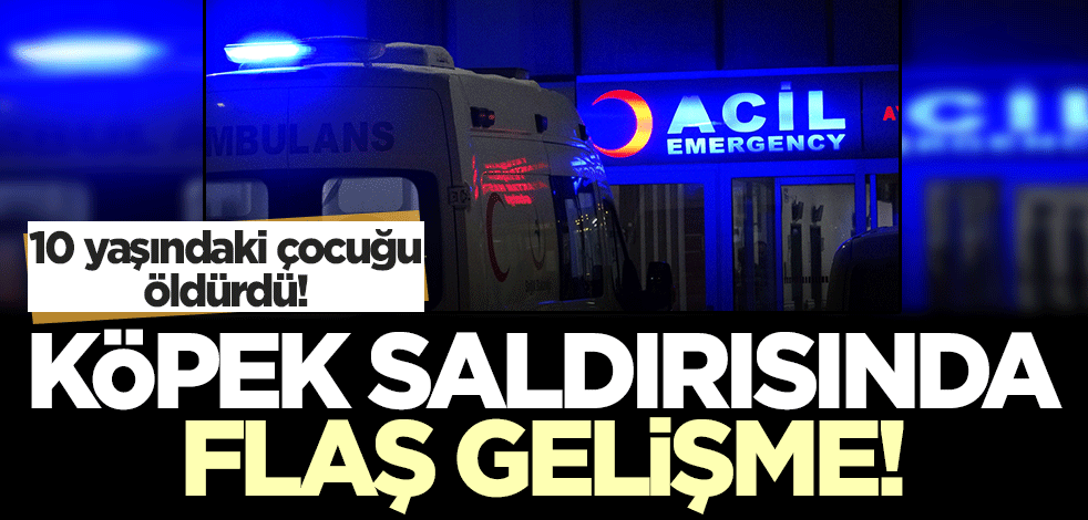 Van Emniyet Müdürlüğü'nden köpek saldırısına ilişkin açıklama!