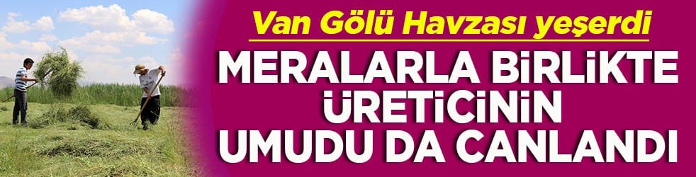 Van Gölü Havzası yeşerdi Meralarla birlikte üreticinin umudu da canlandı