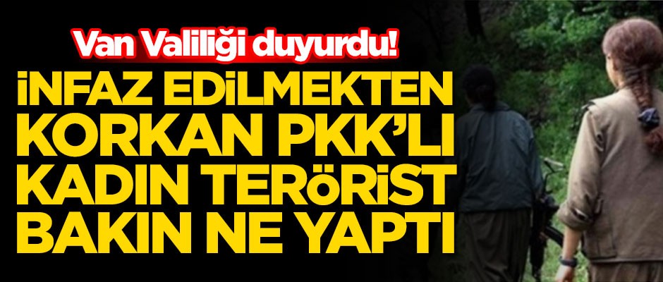 PKK'da infaz başladı! Dağdan kaçan teröristler teslim oluyor