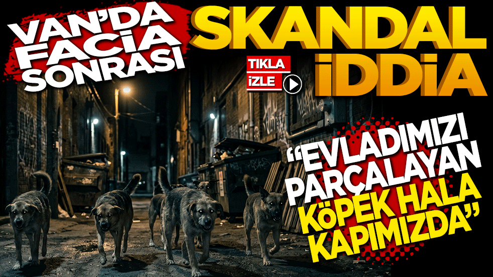 Van'da facia sonrası skandal iddia: Evladımızı parçalayan köpekler hala kapımızda!