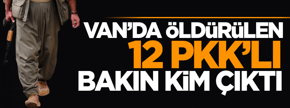 Van’da öldürülen 12 PKK’lı dağ kadrosundan çıktı