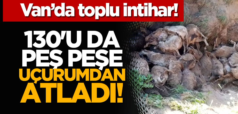 Van’da toplu intihar! 130'u da peş peşe uçurumdan atladı!