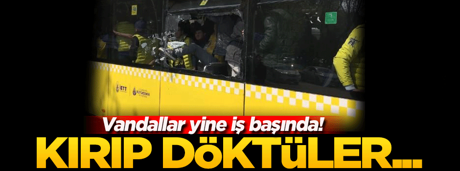 Vandallar yine iş başında! Yine kırıp döktüler...