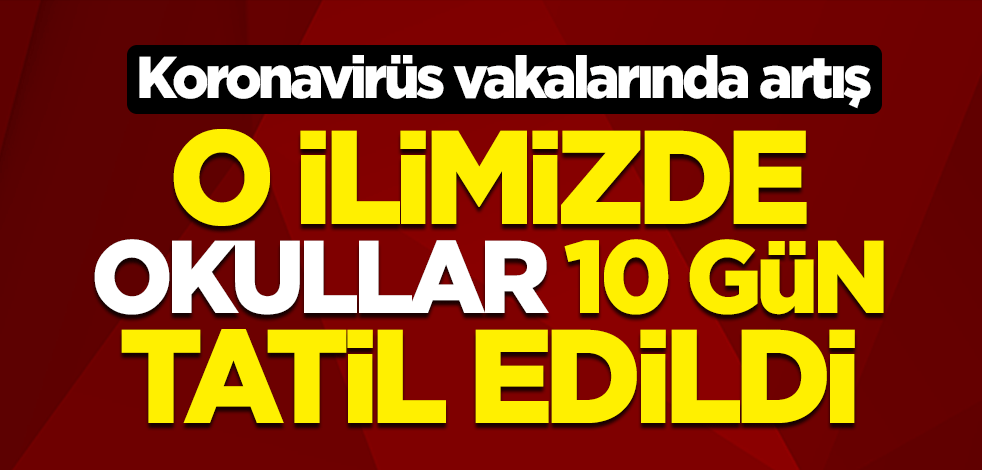 Van'ın Saray ilçesinde okullar 10 gün tatil edildi