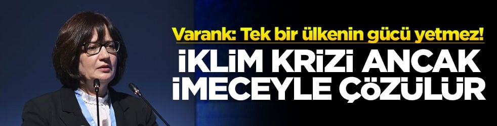 Varank: Tek bir ülkenin gücü yetmez! İklim krizi ancak imeceyle çözülür