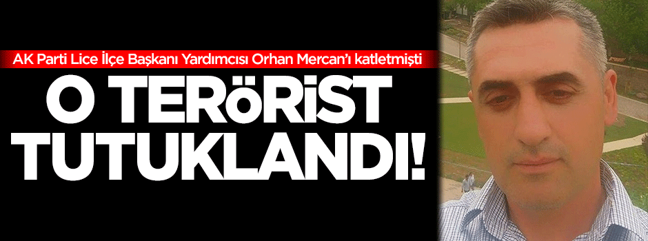 Vatan haini terörist tutuklandı