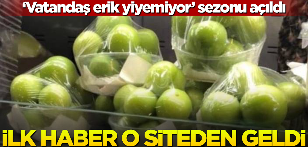 'Vatandaş erik yiyemiyor' sezonu açıldı! İlk haber o siteden geldi
