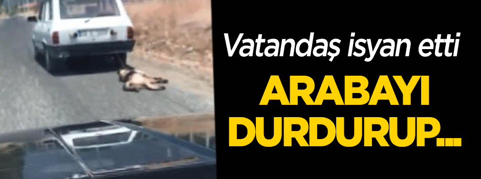 Vatandaş isyan etti! Arabayı durdurup...