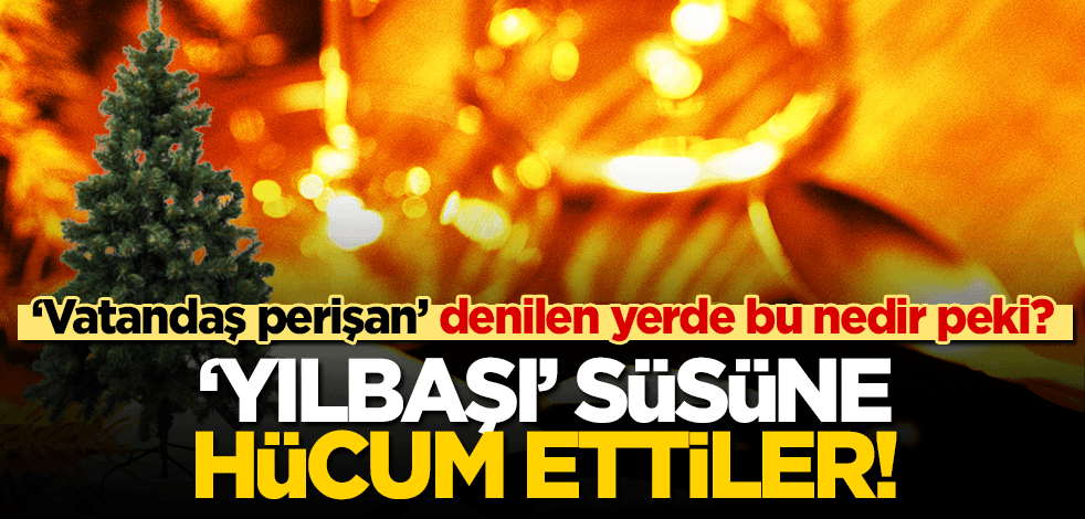 ‘Vatandaş perişan’ denilen yerde bu nedir peki? ‘Yılbaşı’ süsüne hücum edildi!