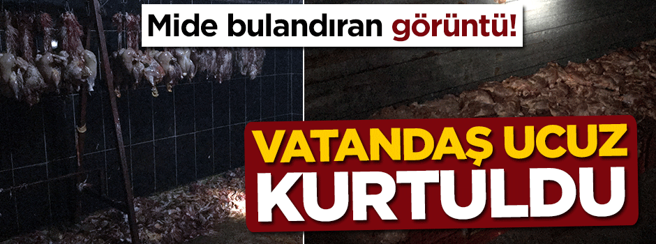 Vatandaş ucuz kurtuldu, görüntüler mide bulandırdı