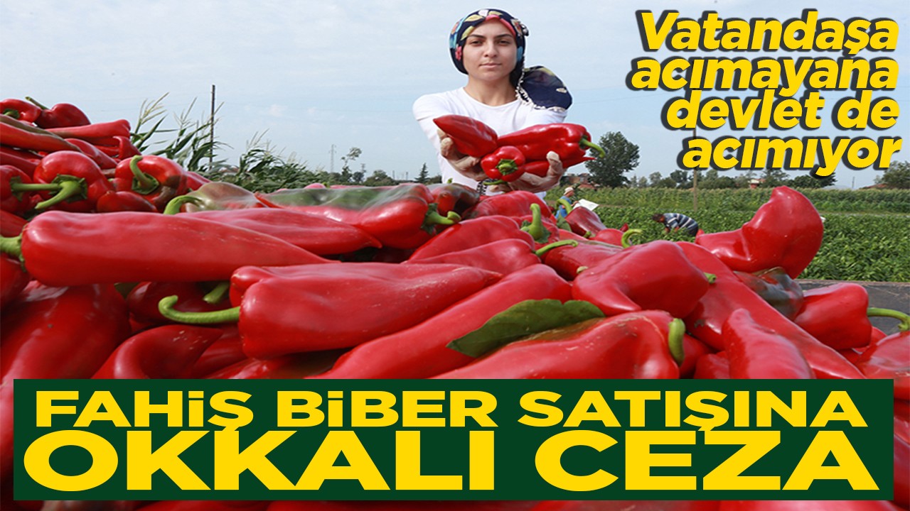 Vatandaşa acımayana devlet de acımıyor Fahiş biber satışına okkalı ceza