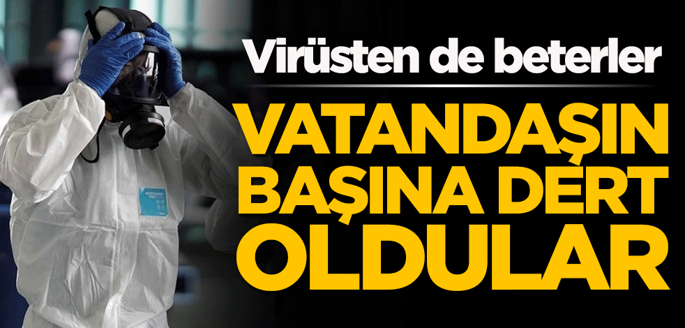 Vatandaşın başına dert oldular! Virüsten de beterler
