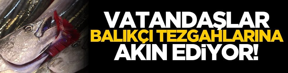 Vatandaşlar balıkçı tezgâhlarına akın ediyor!