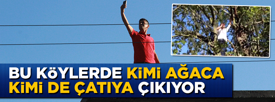 Vatandaşlar bayramlaşmak için ağaç ve çatılara çıktı